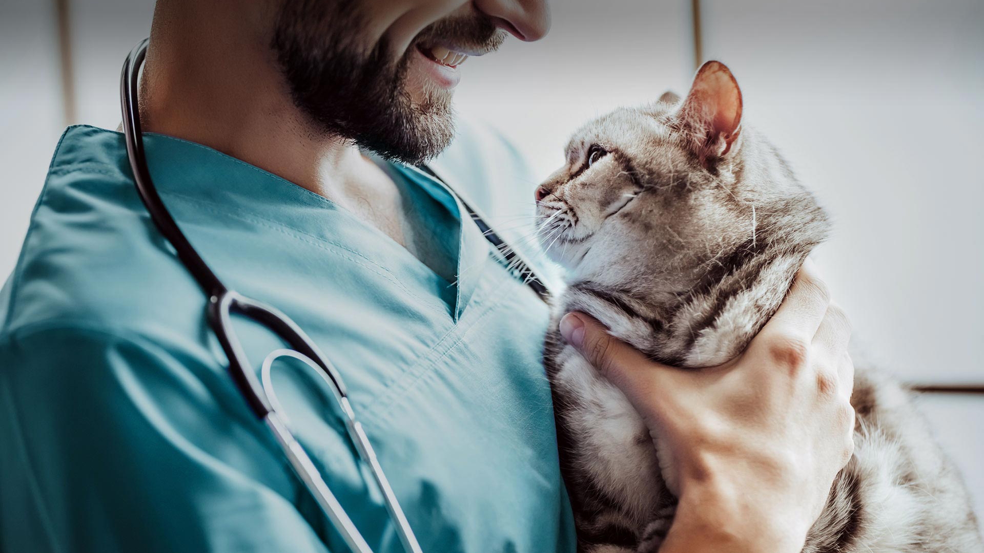 Güzelbahçe Veteriner